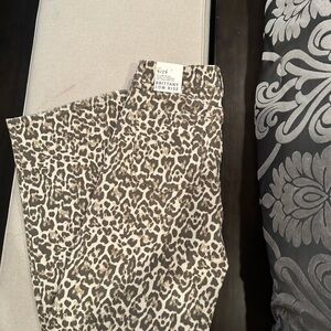 YMI Animal Print Pants in Brown and Cream